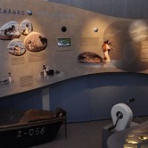 Sartų regioninio parko lankytojų centras