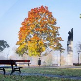 Zarasų Sėlių aikštė