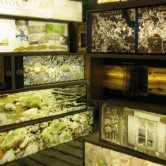 Gražutės regioninio parko lankytojų centras