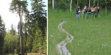 Ilgašilio pažintinis takas