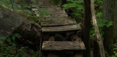 Šavašos pažintinis takas