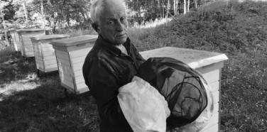 Edukacinis bitynas „Bitė žmogui“