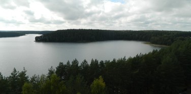 Labanoro regioninio parko apžvalgos bokštas