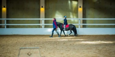 "Dubingių žirgynas"